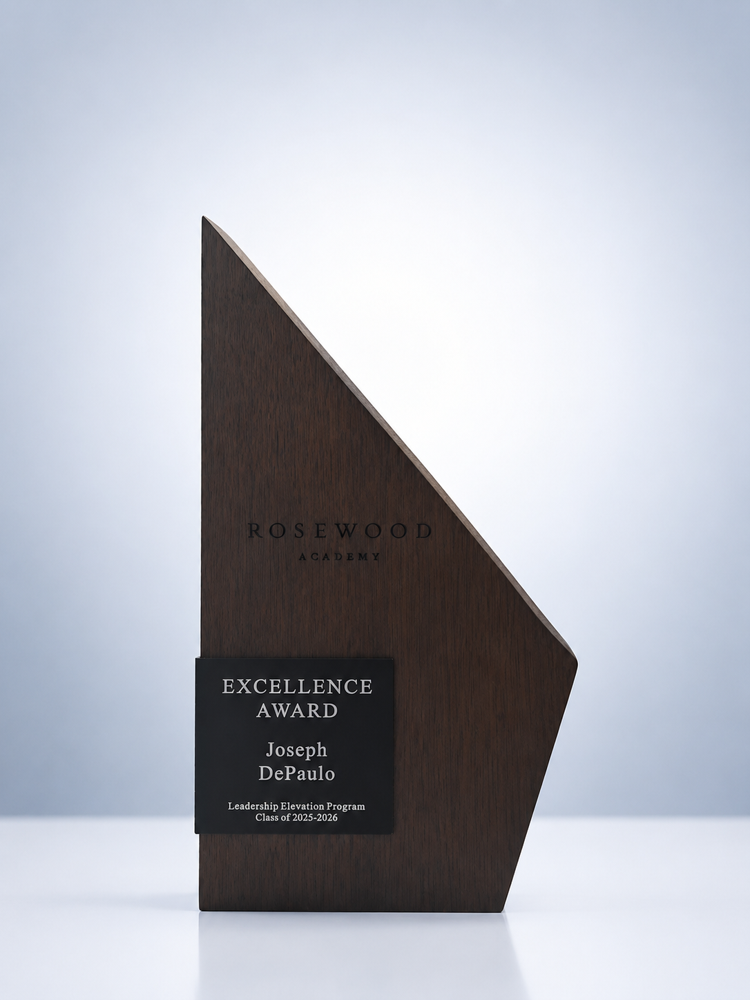 Wood & Metal Geometric Excellence Award