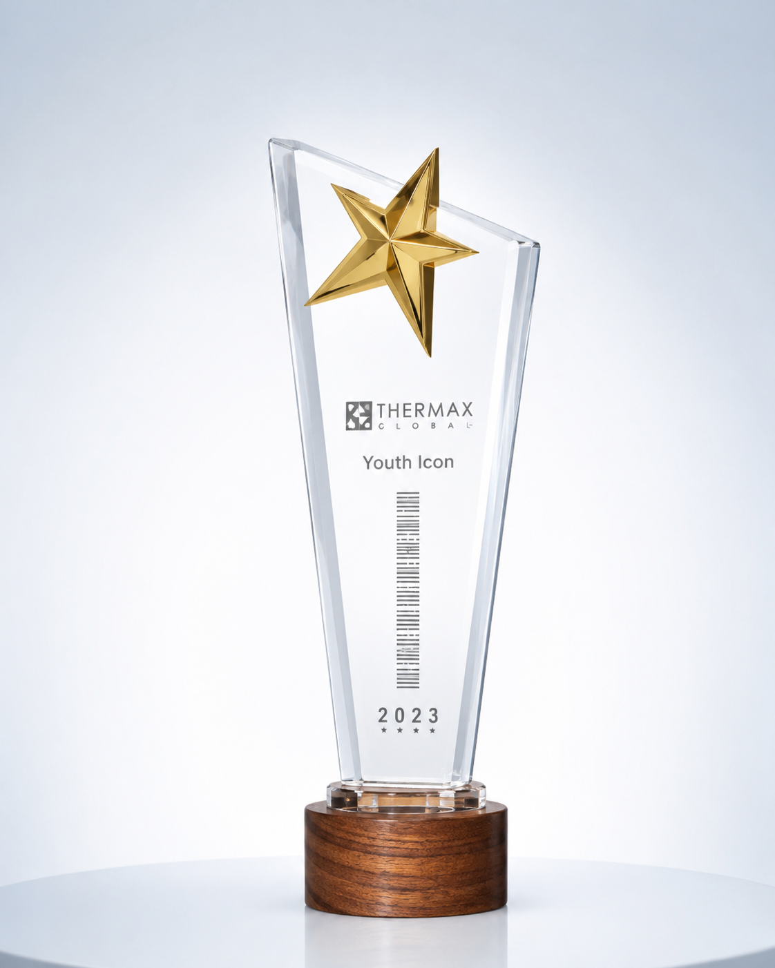 Wood & Crystal Rising Star Trophy
