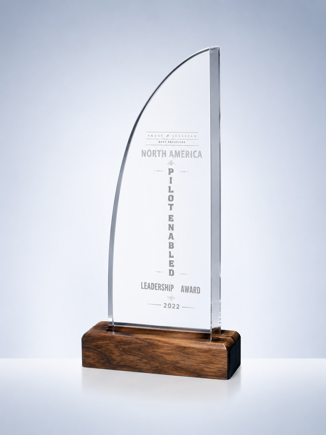 Wood & Crystal Curved Leadership Award